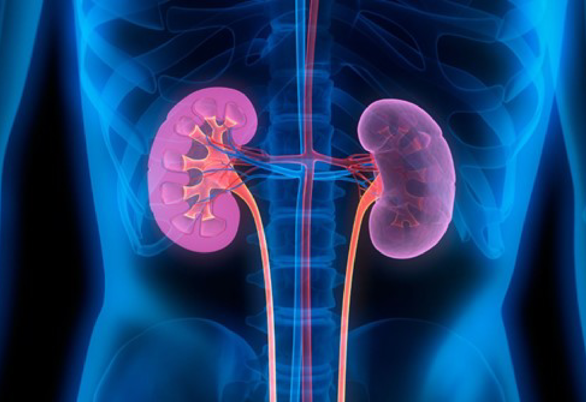 Abnormal lactate metabolism linked to kidney injury in diabetic patients